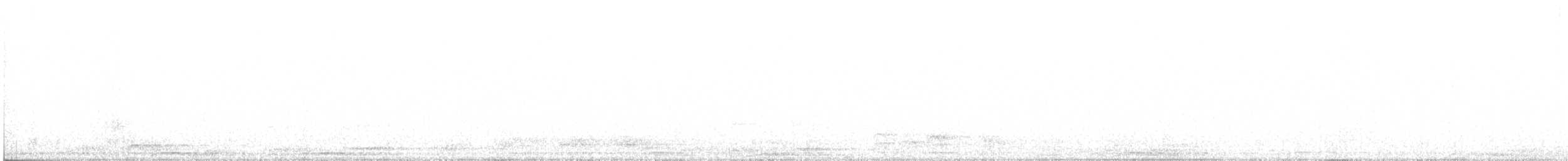 Chouette rayée - ML225701561