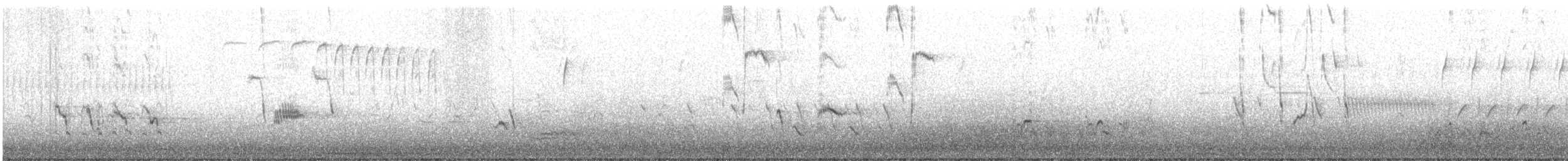 דשוש חום - ML225794661