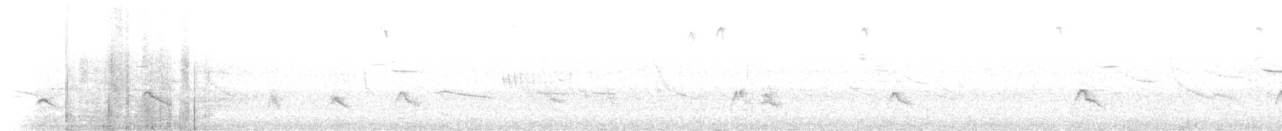 White-crested Elaenia - ML225815051