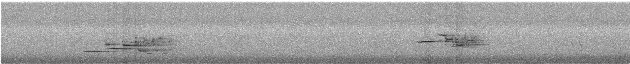 Дрізд-короткодзьоб плямистоволий - ML225837321