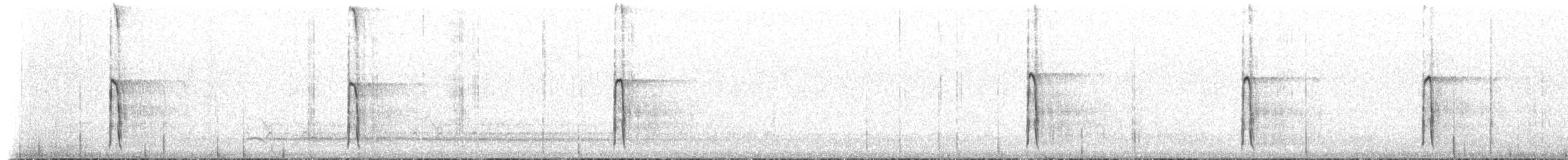 Pic chevelu (groupe villosus) - ML225880