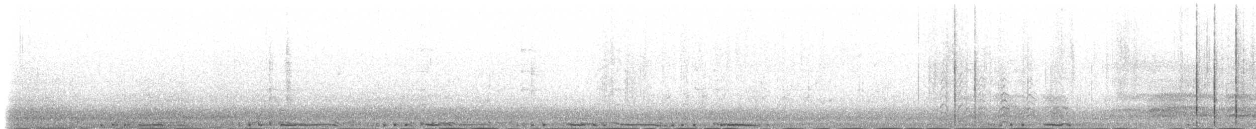 野鴿(野化) - ML225915