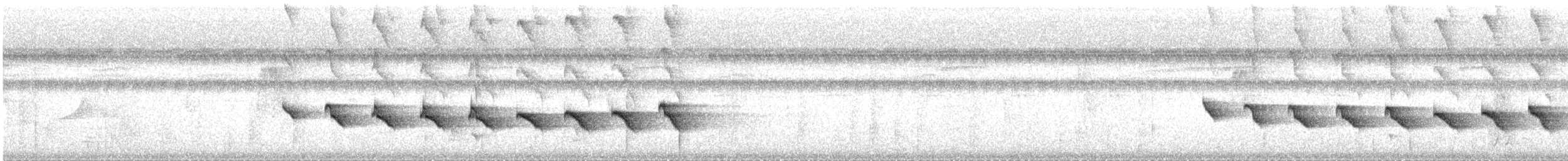 Kurzschwanz-Ameisenvogel - ML225932321