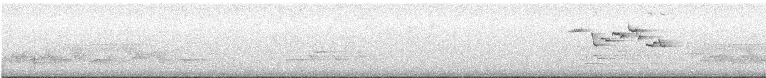 Münzevi Bülbül Ardıcı - ML225956541