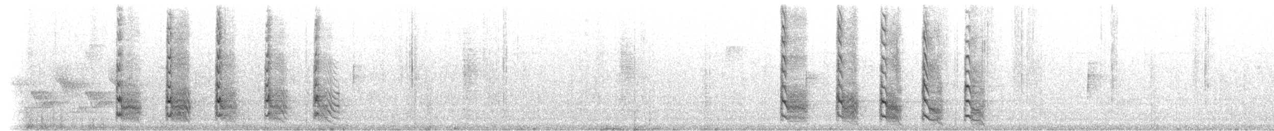 Carpintero de Carolina - ML225957