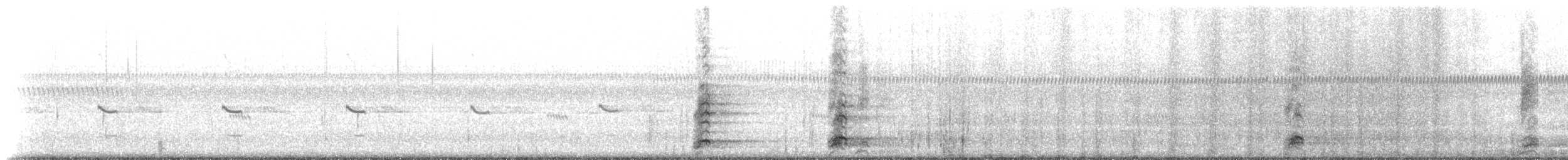 kvakoš noční (ssp. hoactli) - ML225999