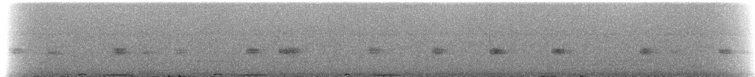 holub pruhoocasý [skupina fasciata] - ML226008