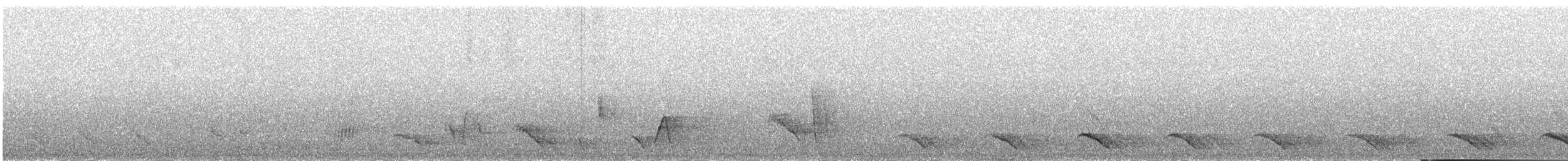 Superb Lyrebird - ML226036