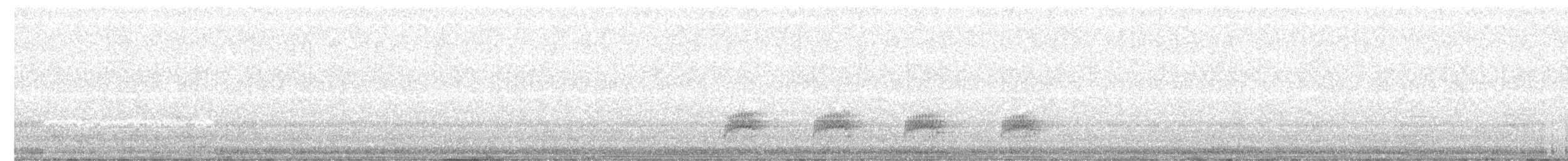 Copetón Viajero - ML226042571