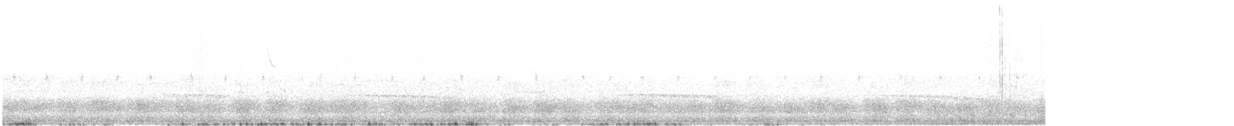 Kestane Karınlı Guguk - ML22606141