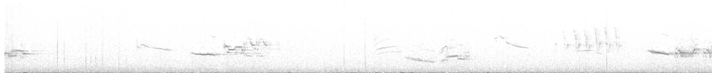 Дрізд-короткодзьоб плямистоволий - ML226075991