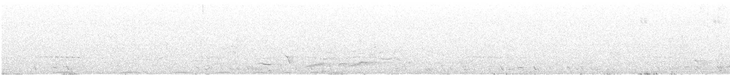 Kestane Karınlı Guguk - ML22609251