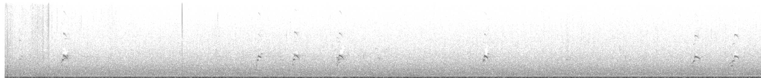 American Avocet - ML226231321