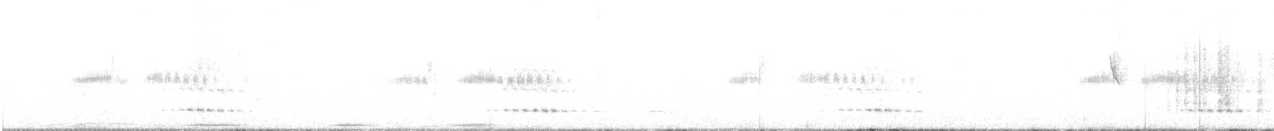 Kara Boğazlı Kolibri - ML226281971