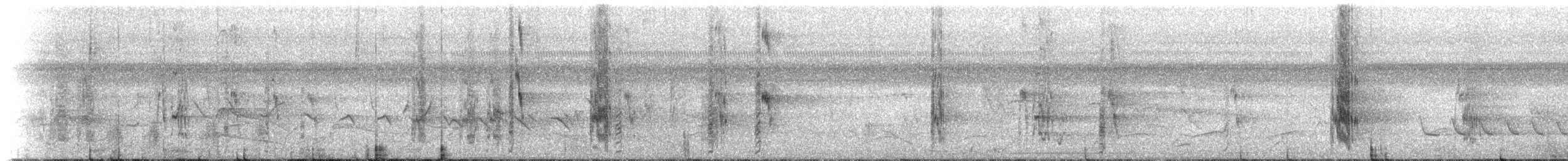 Caïque à queue courte - ML226302931