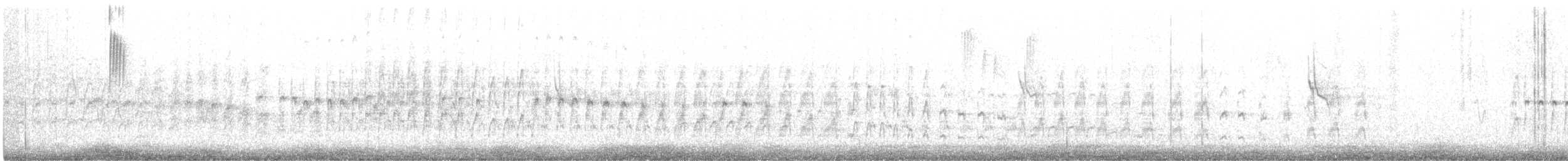 rorýs bělohrdlý - ML226322481