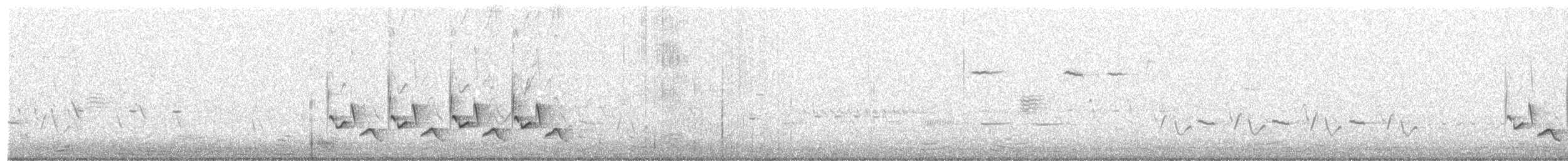 Поплітник каролінський - ML226322711