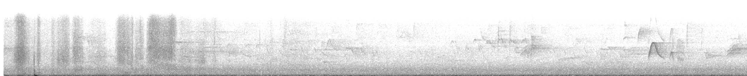 חטפית ירקרקה - ML226420451