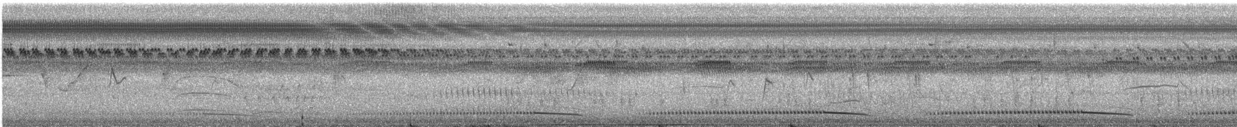 Polluela Turura - ML226433191