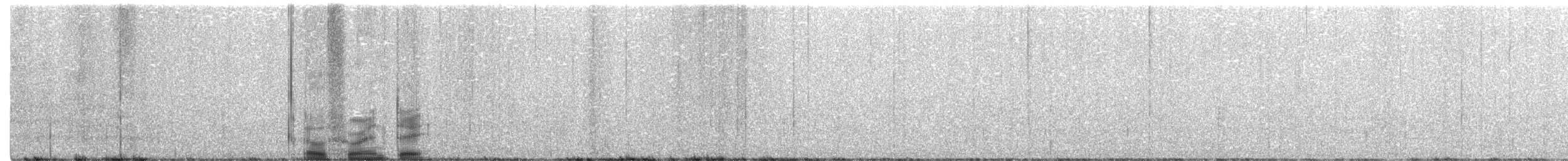 Long-billed Gnatwren - ML226509481