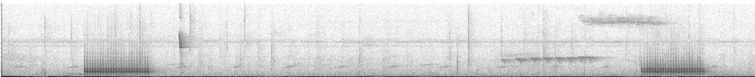 woodpecker sp. - ML22653561