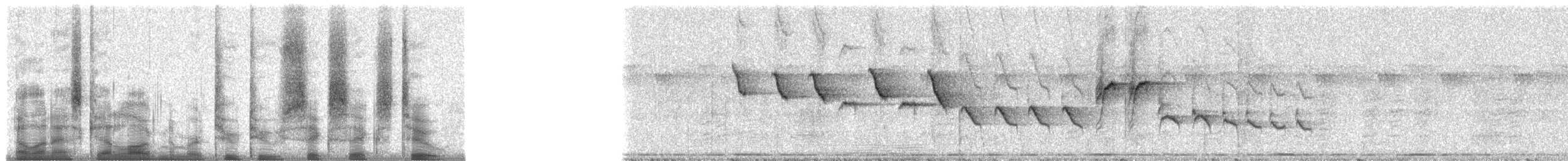 smekkesolfugl - ML22662