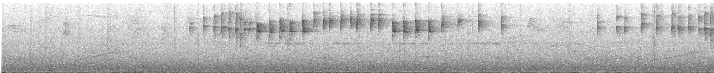 Paruline triligne - ML226655901