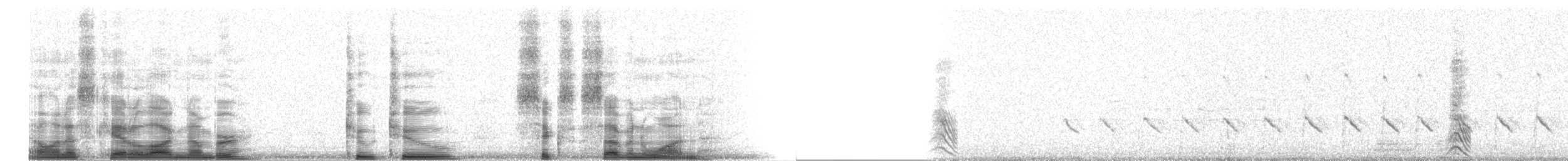 Zingira-hontza (flammeus) - ML22671