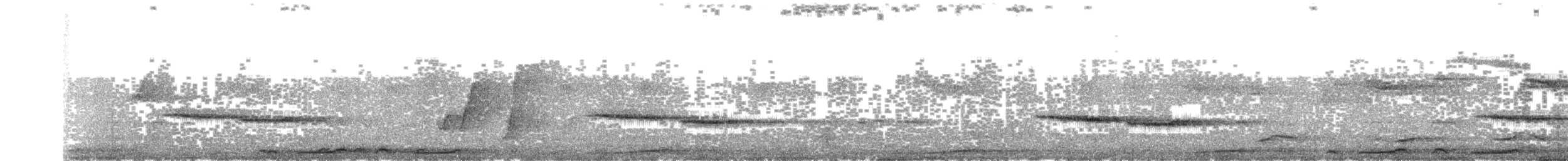 Russet-tailed Thrush - ML226714831