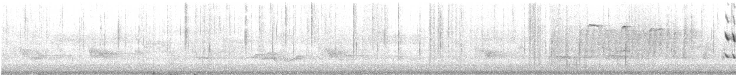 skjæresibia - ML226822261