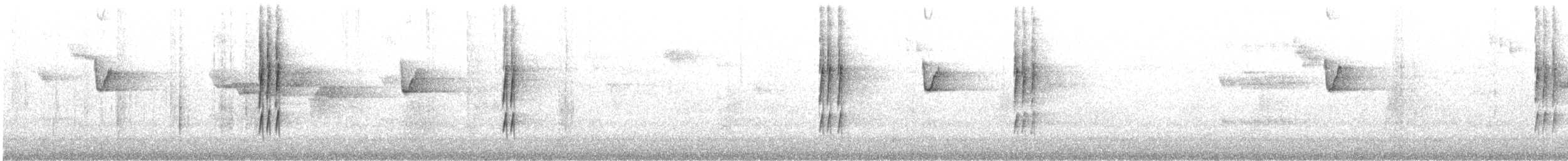 Goldscheitel-Stutzschwanz - ML226823221