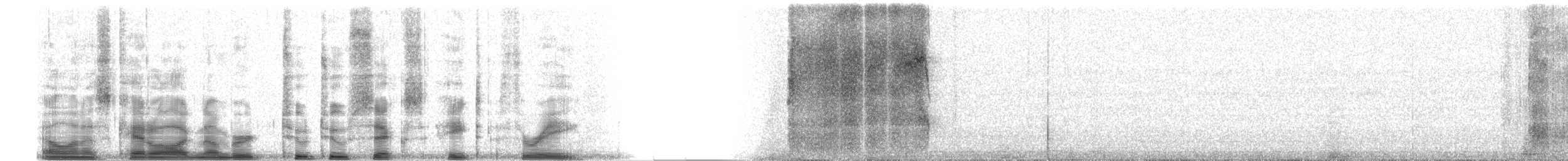 Zingira-hontza (flammeus) - ML22683
