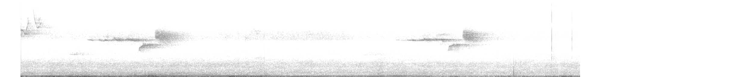 Black-throated Green Warbler - ML226833941