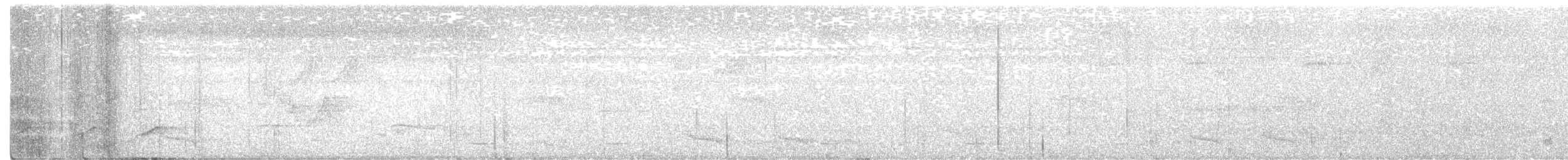 Лінивка-строкатка чорновола - ML226847371