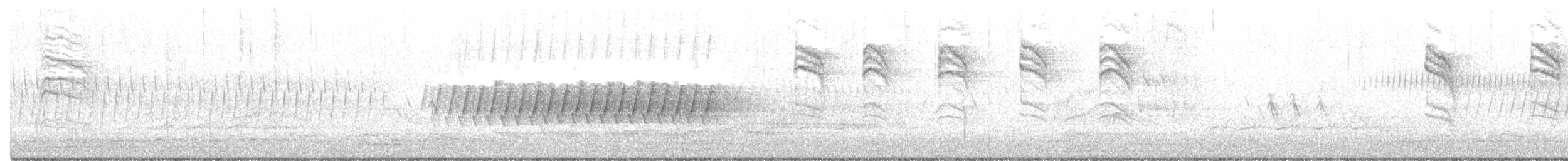 furuparula - ML226859681