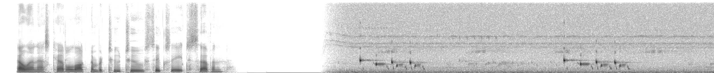 Chotacabras de Todd - ML22687