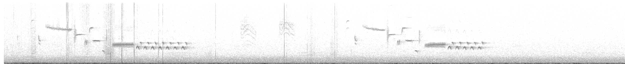 Bewick's Wren - ML226986791