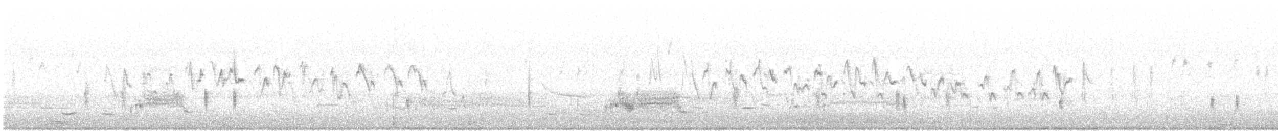 lesňáček žlutoskvrnný (ssp. coronata) - ML226988961