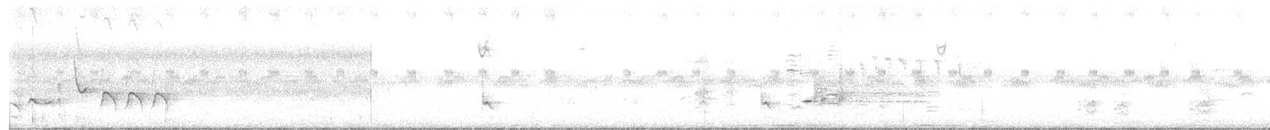 Белокрылый трупиал - ML226993581