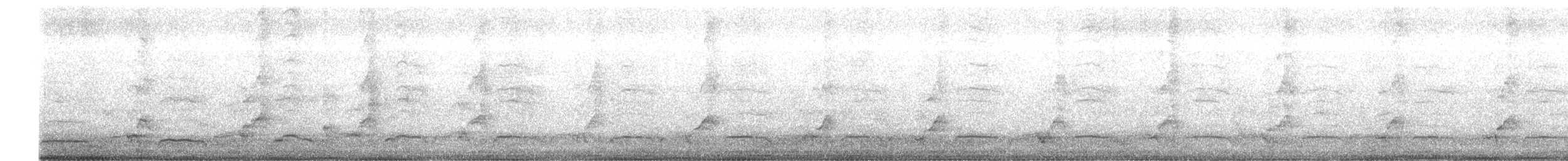 Pied Cormorant - ML227045951