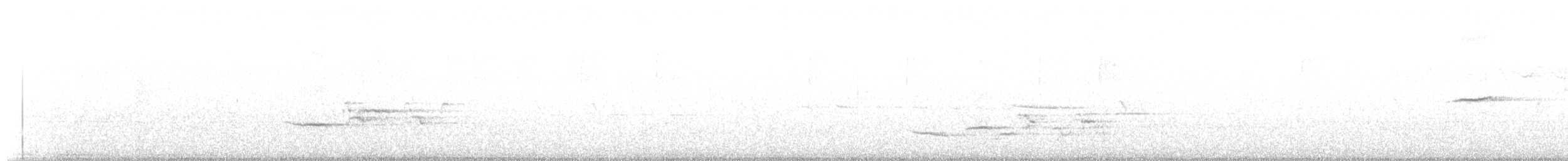 Дрізд-короткодзьоб плямистоволий - ML227080291