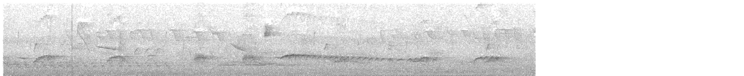 Nutting's/Salvadoran Flycatcher - ML227084971