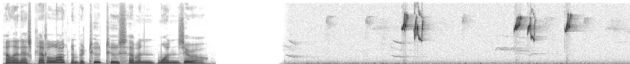 Turuncu Gagalı Loriket - ML22710