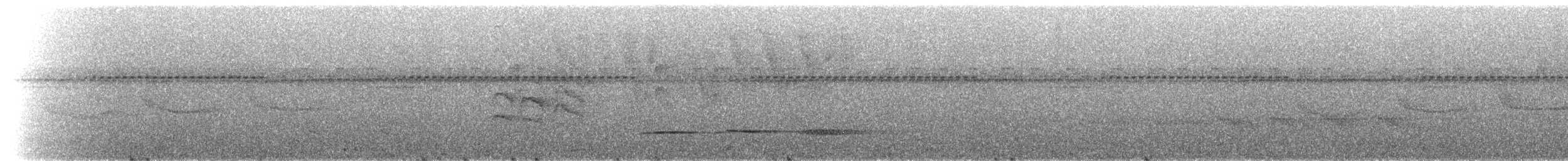 Schwarzbinden-Ameisenschlüpfer - ML227147