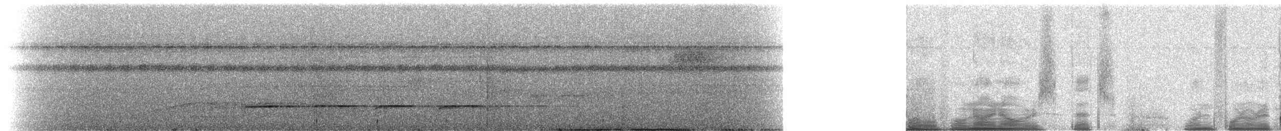 svartbrystspett (tinnunculus) - ML227187