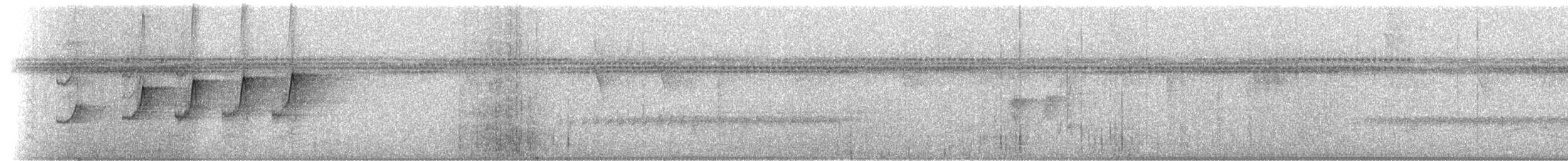 brunbukmeiskryper (minutus) - ML227194