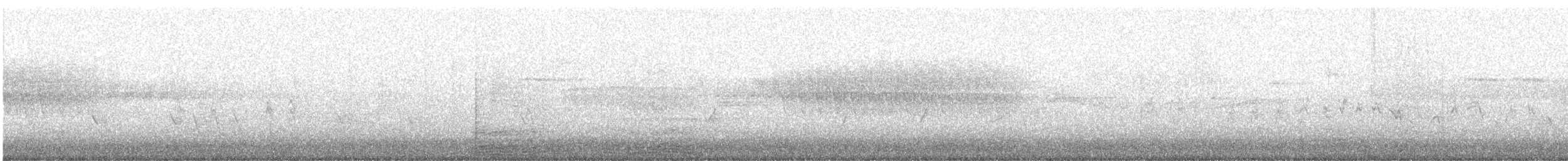 Snowy Egret - ML227202531