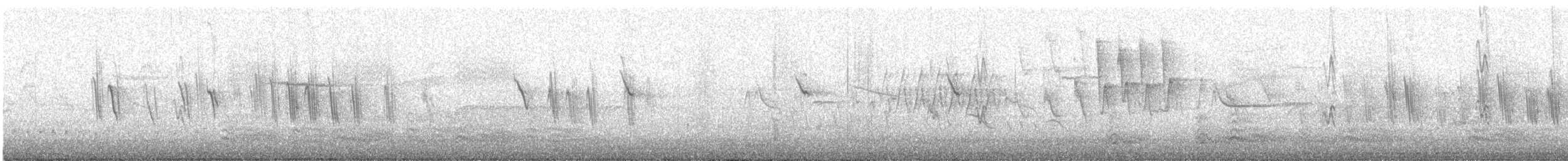 Violet-green Swallow - ML227203161