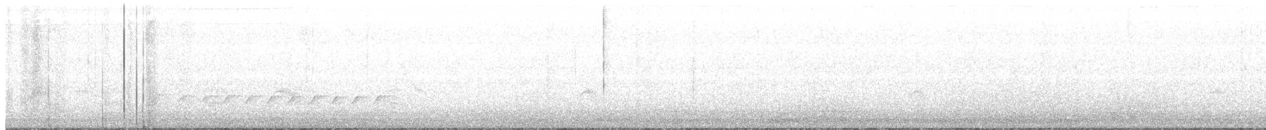 Gray-cheeked/Bicknell's Thrush - ML227209131