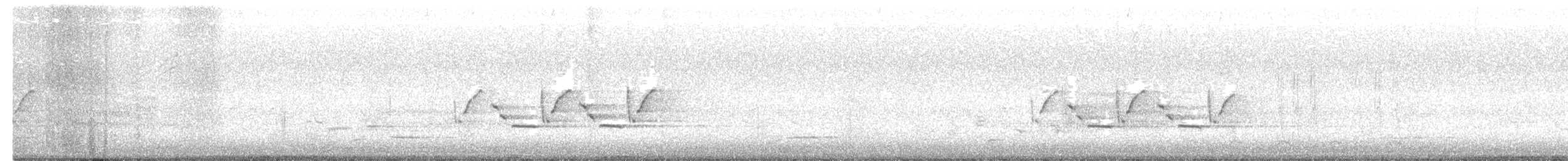 Поплітник каролінський - ML227234441